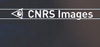 Présentation de C.N.R.S Images