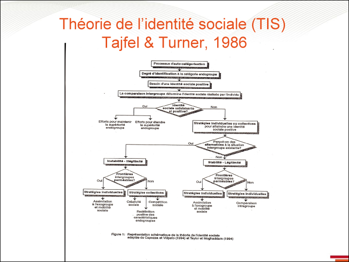 Théorie de l'identité sociale (TIS) - 2