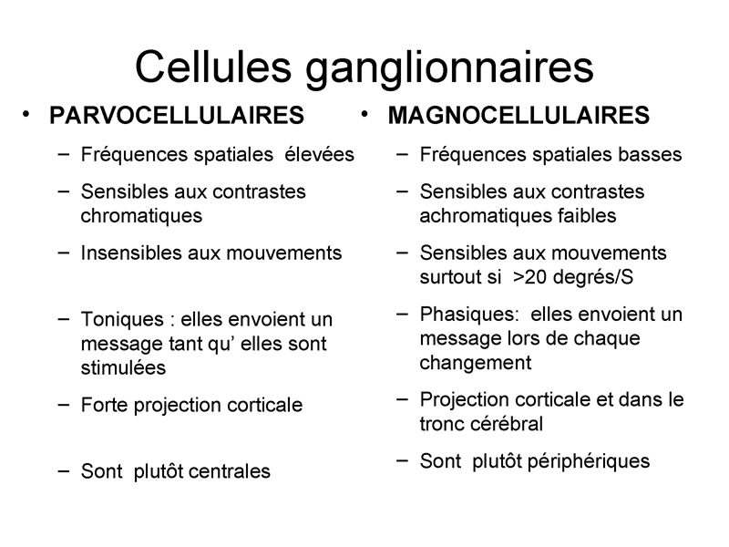 Cell ganglionnaires