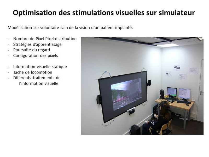 Stimulations visuelles sur simulateur