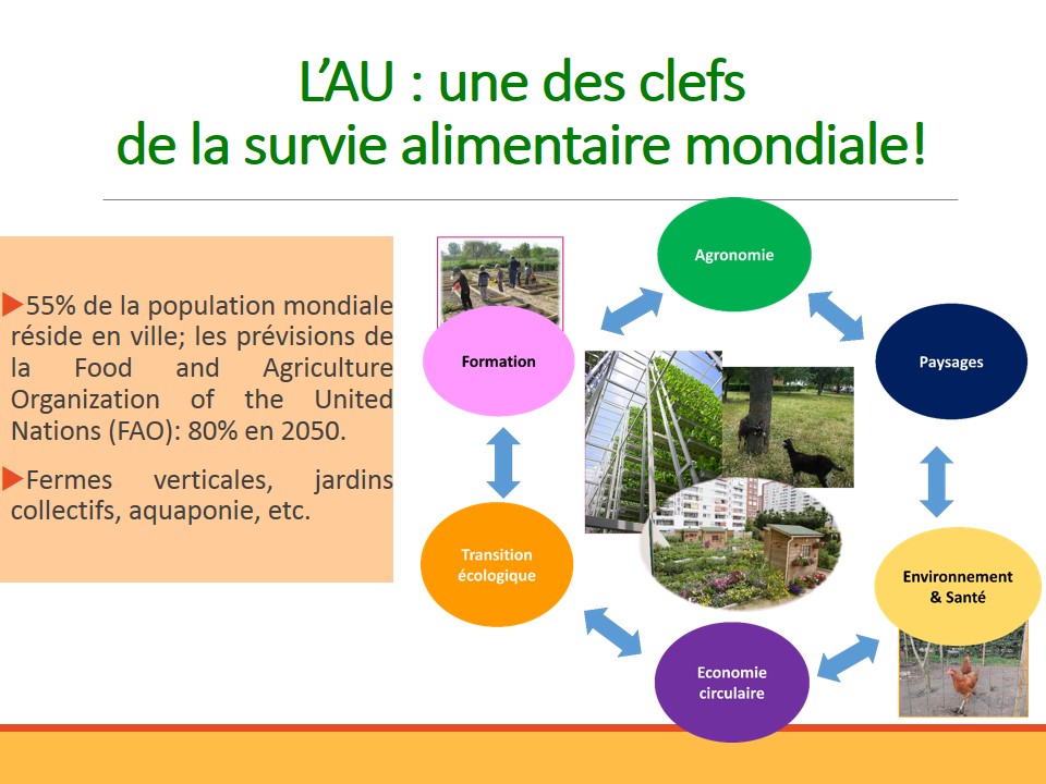Intro-Agricultures urbaines 2017-03.JPG