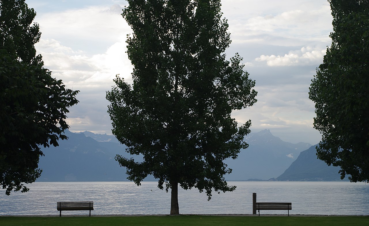 Vue du Lac Léman à Cully (Vaud) [image WikiCommons auteur  Zeynel Cebeci]