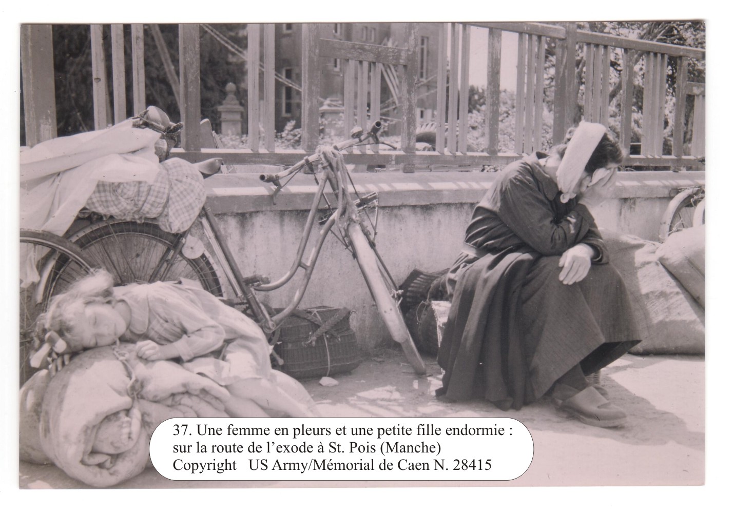 Sur la route de l'exode à Saint-Pois (Manche)