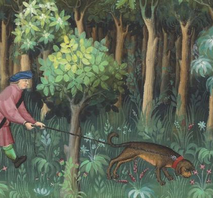 Histoire de la forêt normande