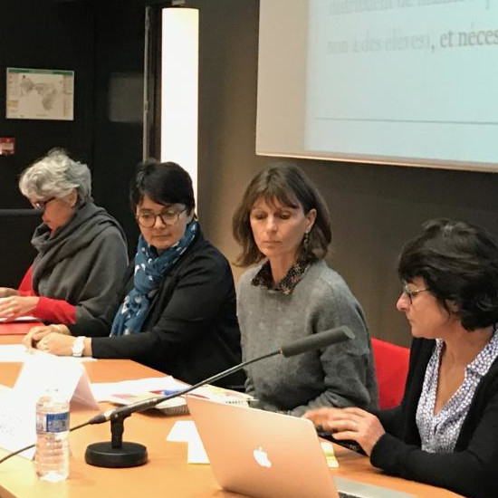 Co-enseignement et difficulté scolaire