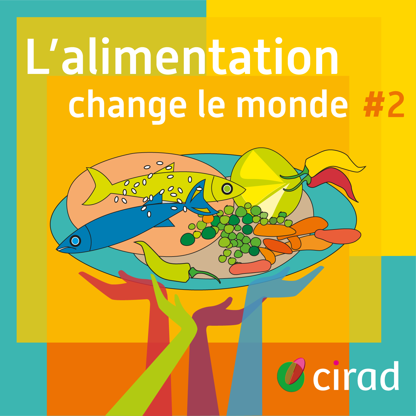 Produire plus de bananes plantain… sans pesticides (2/6)