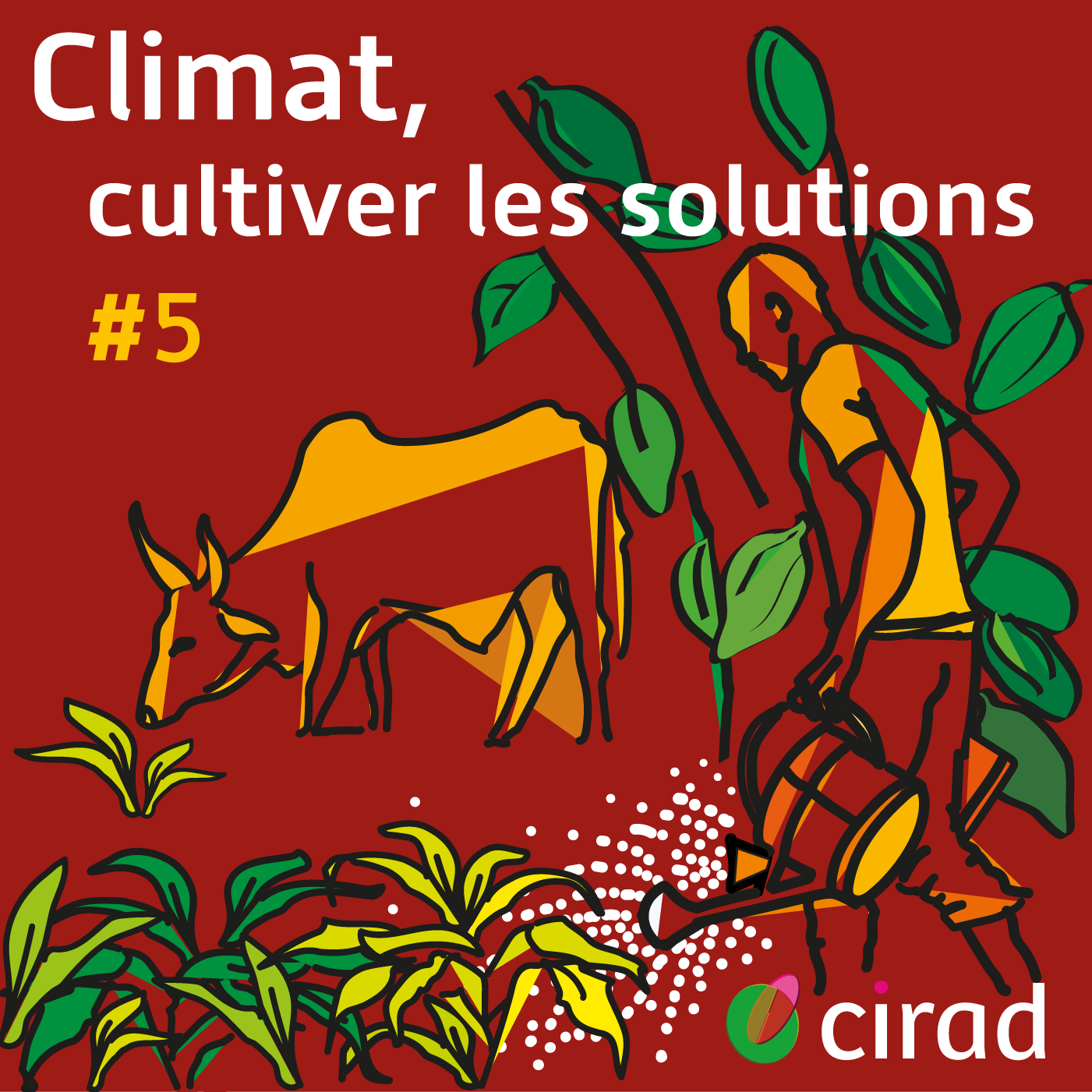L’eau en partage – Climat, cultiver les solutions (5/6)