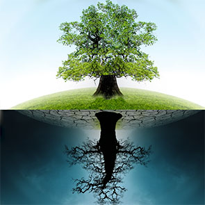 Crises sanitaires et environnementales