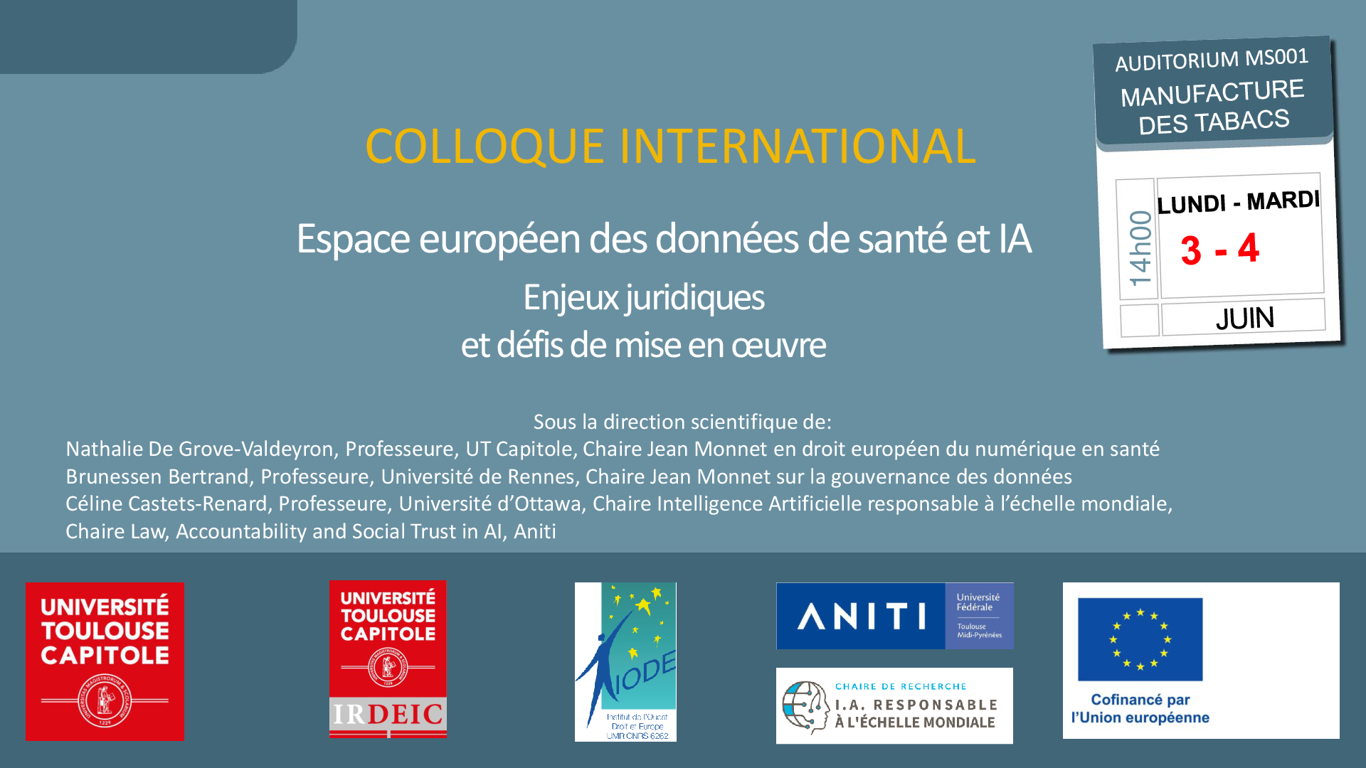 Affiche colloque IRDEIC 3&4 juin 2024