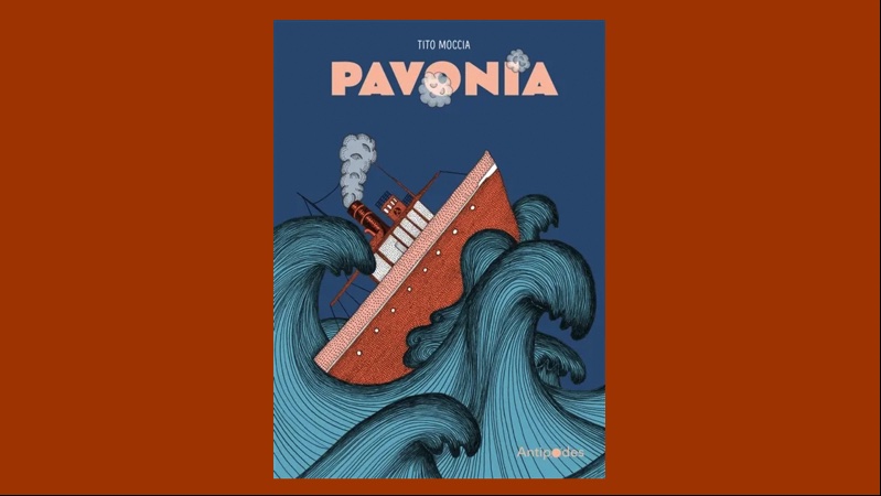 vignette couverture Pavonia