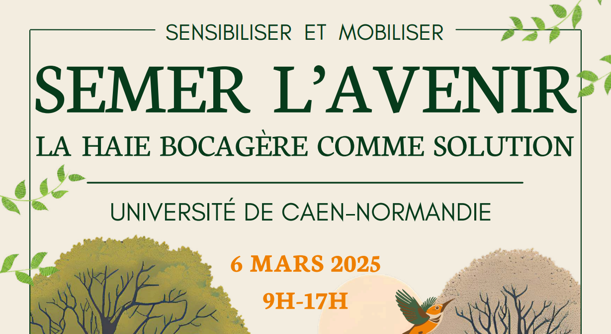 affiche programme