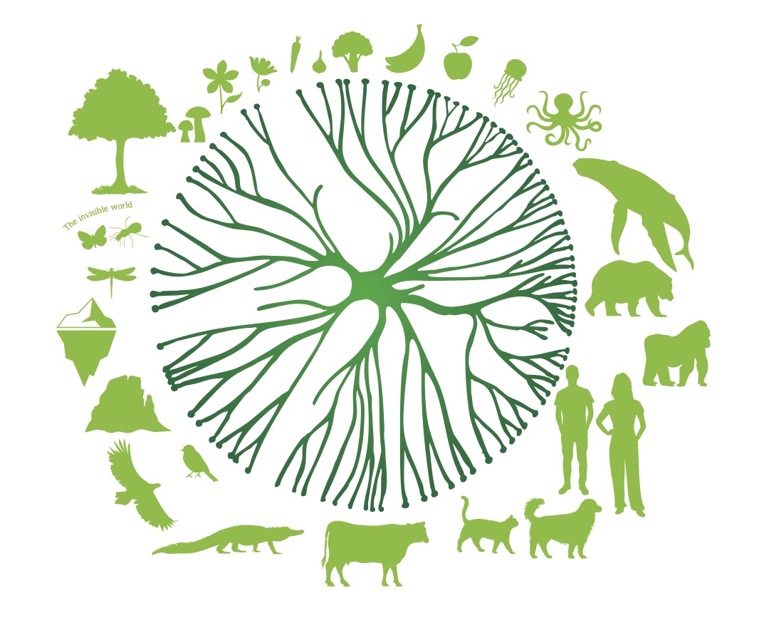 Logo Assemblée de la Terre