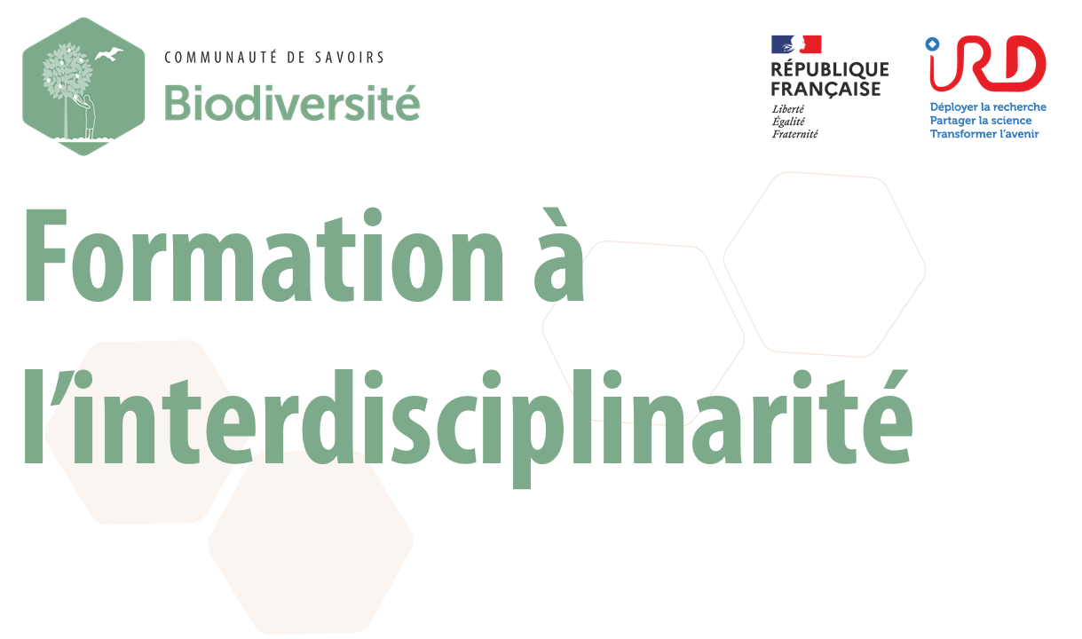 Formation interdisciplinarité