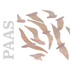 PAAS : Pratiques Artistiques et Approches Sensibles en didactique des langues-cultures