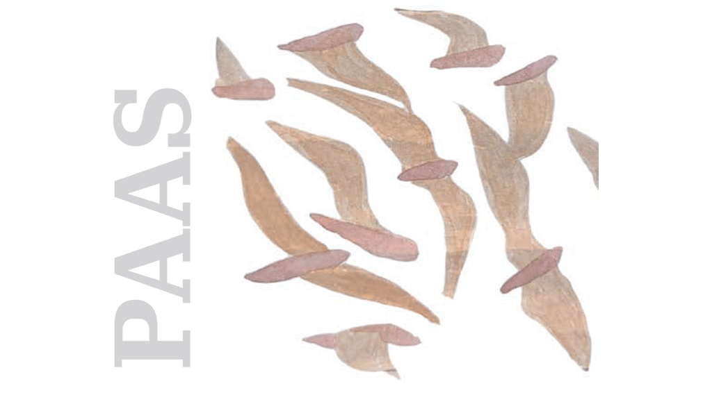 PAAS : Pratiques Artistiques et Approches Sensibles en didactique des langues-cultures