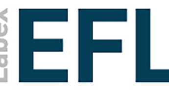 Labex EFL