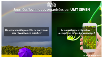 Vignette UMT Seven 2020