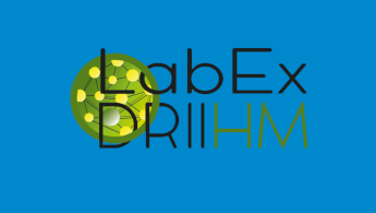 LabEx DRIIHM