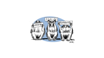 semaine 3 Animaux