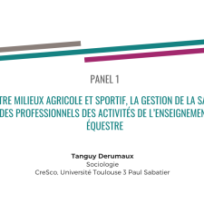 Entre milieux agricole et sportif, la gestion de la santé des professionnels des activités de l’enseignement équestre - Tanguy Derumaux