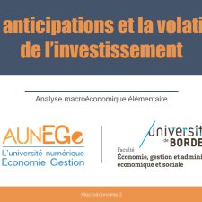 Les anticipations et la volatilité de l'investissement