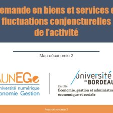 Demande en biens et services et fluctuations conjoncturelles