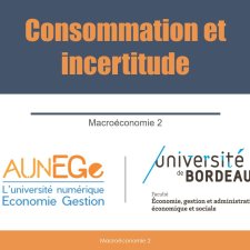 Consommation et incertitude