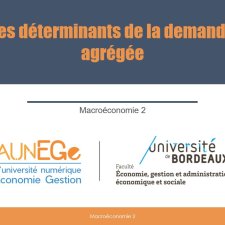 Les déterminants de la demande agrégée