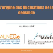 L'origine des fluctuations de la demande