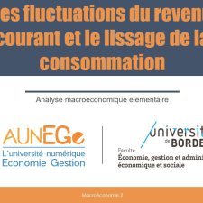 Les fluctuations du revenu courant et le lissage de la consommation