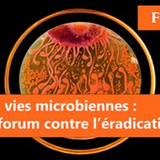 Nos vies microbiennes