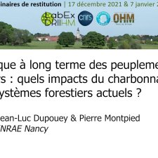 Dynamique à long terme des peuplements forestiers : quels impacts du charbonnage sur les écosystèmes forestiers actuels ?