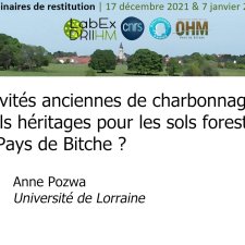 Activités anciennes de charbonnage : quels héritages pour les sols forestiers du Pays de Bitche ?