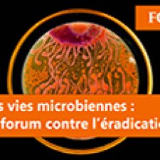 Nos vies microbiennes