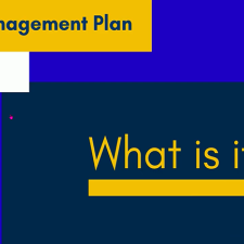 Vignette Data Management Plan, what is it ?
