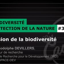 erosion de la biodiversite