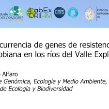 ARGs: Ocurrencia de genes de resistencia antimicrobiana en los ríos del Valle Exploradores