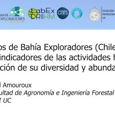 Artrópodos de Bahía Exploradores (Chile: Aysén) como bioindicadores de las actividades humanas: Identificación de su diversidad y abundancia