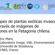 Mapeo de plantas exóticas invasoras a través de imágenes de drones en la Patagonia chilena