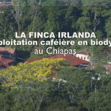 La Finca Irlanda