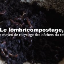 lombricompostage