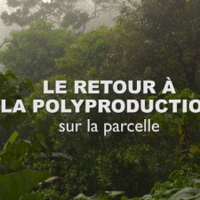 Le retour à la poly-production sur la parcelle