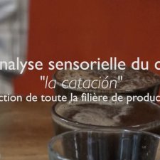 L’analyse sensorielle du café, la cérémonie du « catador » 