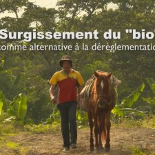 Surgissement du bio comme alternative à la dérèglementation