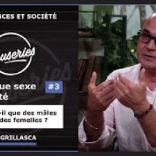 genetique sexe et societe 3