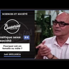 genetique sexe et societe 4