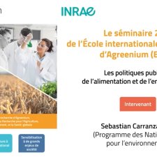 Vignette d'un séminaire EIR-A 2022