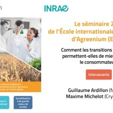 Vignette d'un séminaire EIR-A 2022