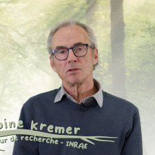 MOOC_Arbres_Kremer