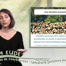 MOOC_Arbres_Eude